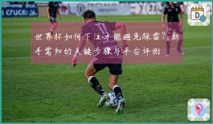 世界杯如何下注才能避免踩雷？新手需知的关键步骤与平台评测