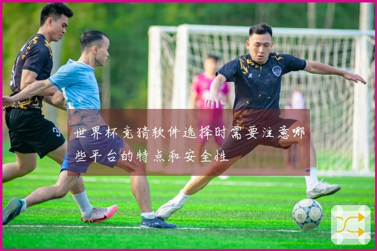 世界杯竞猜软件选择时需要注意哪些平台的特点和安全性