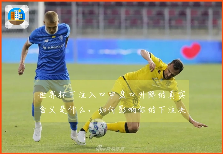 世界杯下注入口中盘口升降的真实含义是什么，如何影响你的下注决策？